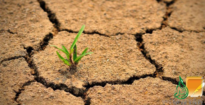 التصحر ونقص المياه .. ناقوسا خطر ينذران العالم