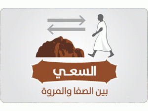 إنفوجرافيك | السعي بين الصفا والمروة